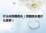 什么叫异国他乡（异国他乡是什么意思）