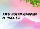 无处不飞花寒食东风御柳斜的意思（无处不飞花）