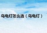 乌龟灯怎么选（乌龟灯）