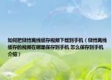 如何把微博离线缓存视频下载到手机（微博离线缓存的视频在哪里保存到手机 怎么保存到手机介绍）