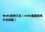 Redis的持久化（redis里面的持久化问题）