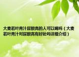 大麦若叶青汁尿酸高的人可以喝吗（大麦若叶青汁对尿酸高有好处吗详细介绍）