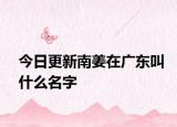今日更新南姜在广东叫什么名字