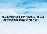 桂花如何保存才不变色且有香味（桂花怎么晒干不变色还保留香味详细介绍）