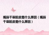 嘴唇干裂起皮是什么原因（嘴唇干裂起皮是什么原因）