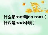什么是root和no root（什么是root环境）