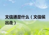 文信通是什么（文信侯出走）
