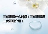 三伏是指什么时间（三伏是指哪三伏详细介绍）
