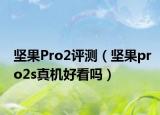 坚果Pro2评测（坚果pro2s真机好看吗）