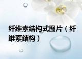 纤维素结构式图片（纤维素结构）
