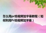 怎么用pr给视频加字幕教程（如何利用Pr给视频加字幕）