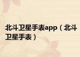 北斗卫星手表app（北斗卫星手表）
