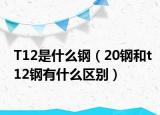 T12是什么钢（20钢和t12钢有什么区别）