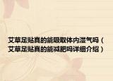 艾草足贴真的能吸取体内湿气吗（艾草足贴真的能减肥吗详细介绍）