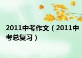 2011中考作文（2011中考总复习）