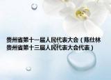 贵州省第十一届人民代表大会（陈仕林 贵州省第十三届人民代表大会代表）