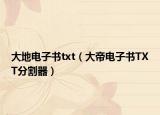 大地电子书txt（大帝电子书TXT分割器）