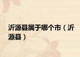 沂源县属于哪个市（沂源县）