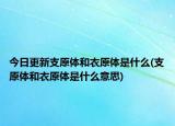 今日更新支原体和衣原体是什么(支原体和衣原体是什么意思)