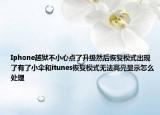 Iphone越狱不小心点了升级然后恢复模式出现了有了小伞和itunes恢复模式无法高亮显示怎么处理