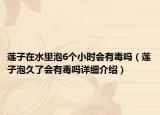 莲子在水里泡6个小时会有毒吗（莲子泡久了会有毒吗详细介绍）
