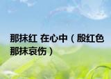 那抹红 在心中（殷红色那抹哀伤）