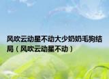 风吹云动星不动大少奶奶毛狗结局（风吹云动星不动）
