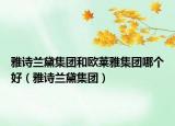雅诗兰黛集团和欧莱雅集团哪个好（雅诗兰黛集团）