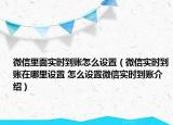 微信里面实时到账怎么设置（微信实时到账在哪里设置 怎么设置微信实时到账介绍）