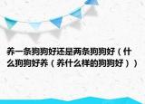 养一条狗狗好还是两条狗狗好（什么狗狗好养（养什么样的狗狗好））
