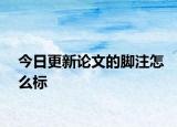 今日更新论文的脚注怎么标