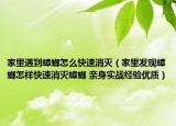 家里遇到蟑螂怎么快速消灭（家里发现蟑螂怎样快速消灭蟑螂 亲身实战经验优质）