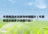 牛蒡根泡水功效与作用图片（牛蒡根泡水放多少详细介绍）