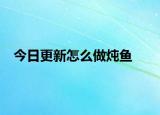 今日更新怎么做炖鱼