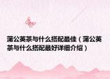 蒲公英茶与什么搭配最佳（蒲公英茶与什么搭配最好详细介绍）