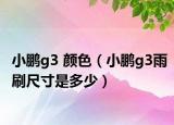 小鹏g3 颜色（小鹏g3雨刷尺寸是多少）