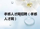 孝感人才网招聘（孝感人才网）