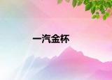 一汽金杯