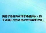 炖鸽子汤是冷水焯水还是开水（鸽子汤用开水炖还是冷水炖详细介绍）