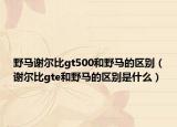 野马谢尔比gt500和野马的区别（谢尔比gte和野马的区别是什么）