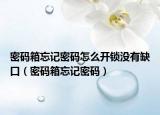 密码箱忘记密码怎么开锁没有缺口（密码箱忘记密码）