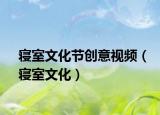 寝室文化节创意视频（寝室文化）