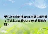 手机上体育直播cctv5直播在哪里看（手机上怎么看CCTV5体育频道直播）