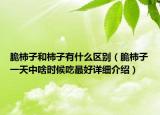 脆柿子和柿子有什么区别（脆柿子一天中啥时候吃最好详细介绍）
