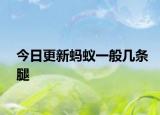 今日更新蚂蚁一般几条腿