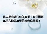 足三里准确穴位怎么找（怎样找足三里穴位足三里的准确位置图）