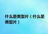 什么是类型片（什么是类型片）