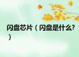 闪盘芯片（闪盘是什么?）