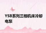 YSB系列三相机床冷却电泵