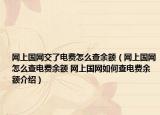 网上国网交了电费怎么查余额（网上国网怎么查电费余额 网上国网如何查电费余额介绍）